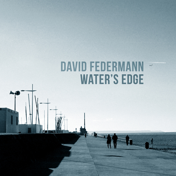 DAVID FEDERMANN - WATER'S EDGE (2018)